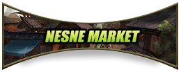 Casro2 Nesne Market.png